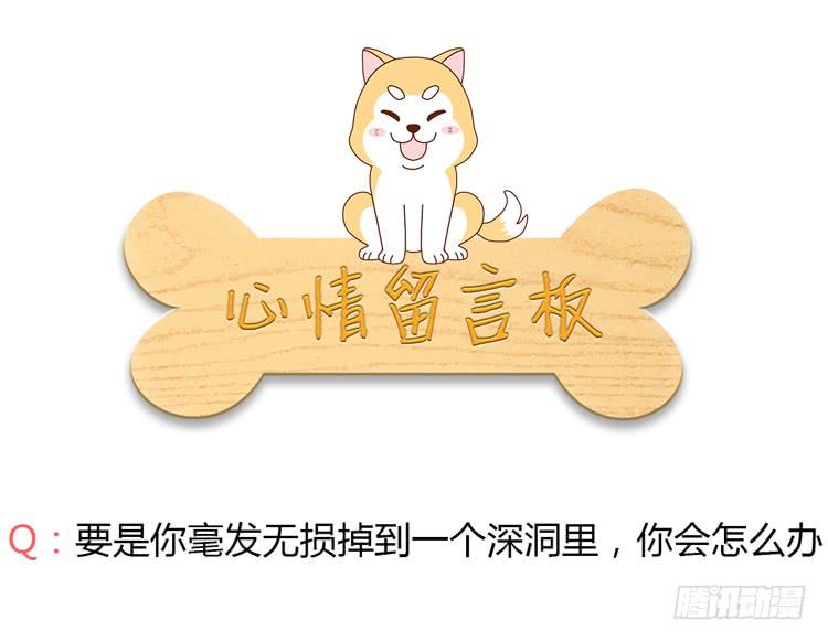 我与秋田韩漫全集-你们两个大笨蛋无删减无遮挡章节图片 