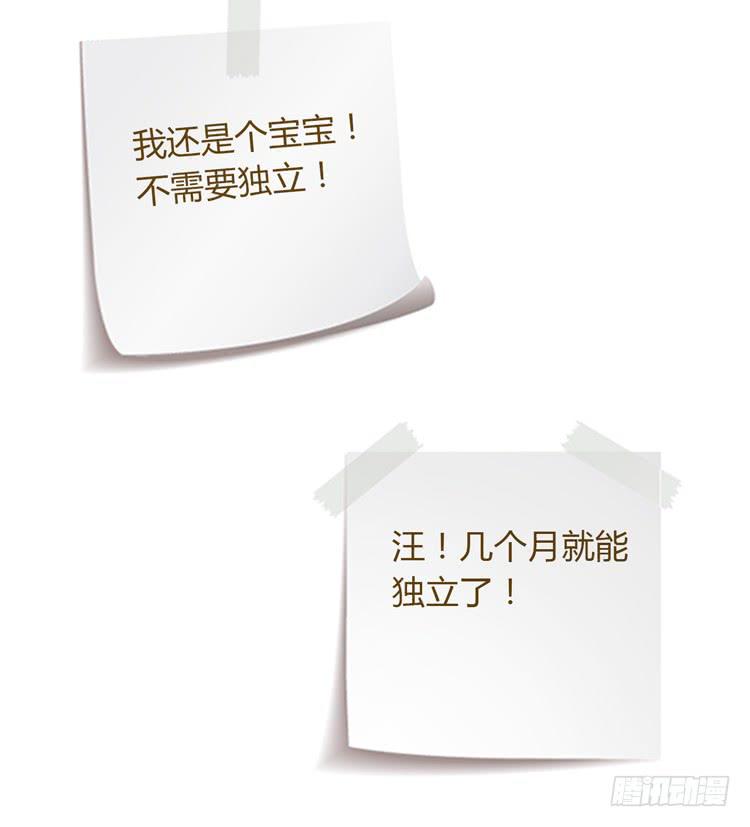 我与秋田韩漫全集-辰风的选择无删减无遮挡章节图片 