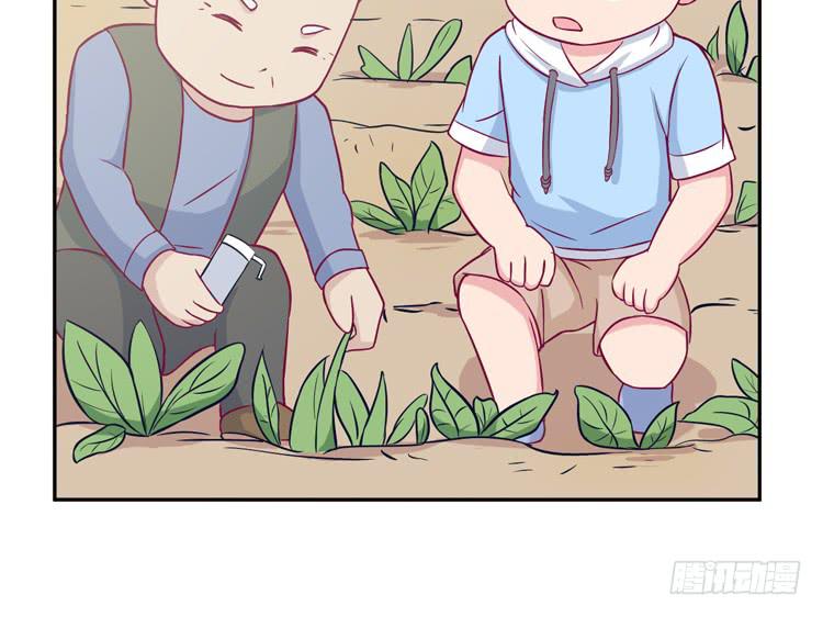 我与秋田韩漫全集-番外：麦的一天无删减无遮挡章节图片 