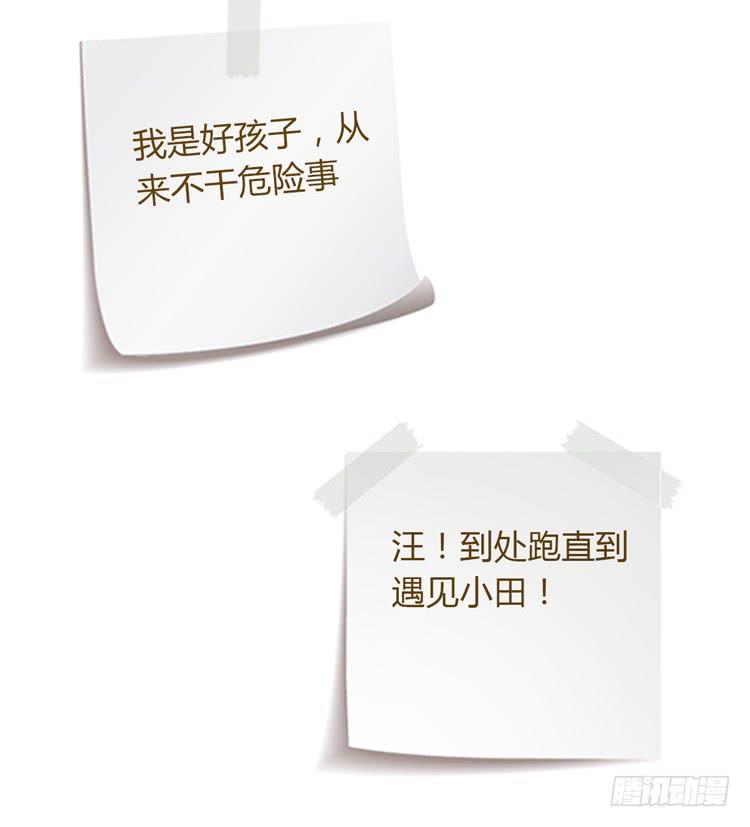 我与秋田韩漫全集-我有护卫了无删减无遮挡章节图片 