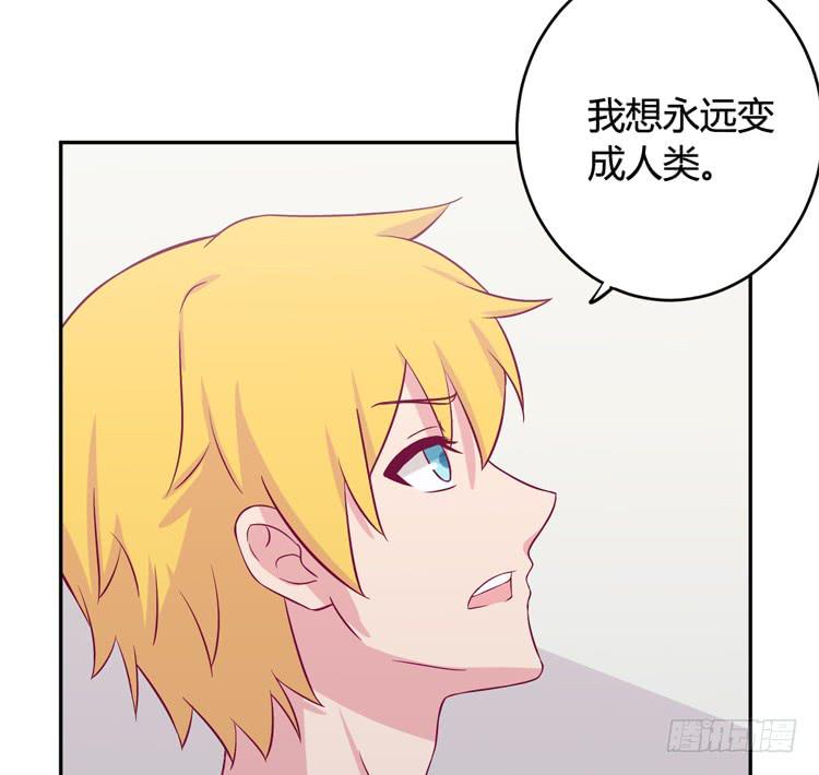 我与秋田韩漫全集-愿望的代价无删减无遮挡章节图片 