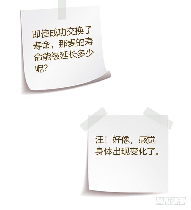 我与秋田韩漫全集-寿命交换成功啦？无删减无遮挡章节图片 