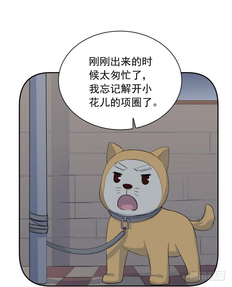 我与秋田韩漫全集-大结局：永远是你的忠犬男友。无删减无遮挡章节图片 