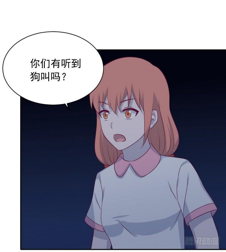 我与秋田韩漫全集-大结局：永远是你的忠犬男友。无删减无遮挡章节图片 