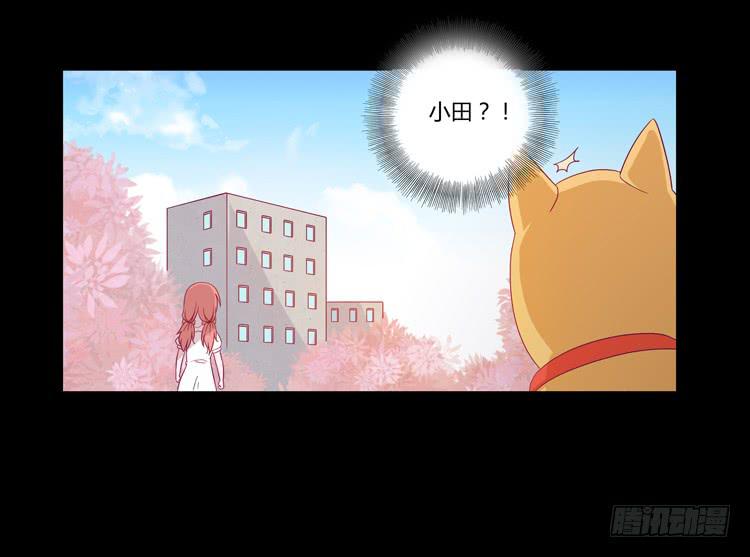 我与秋田韩漫全集-打回原形无删减无遮挡章节图片 