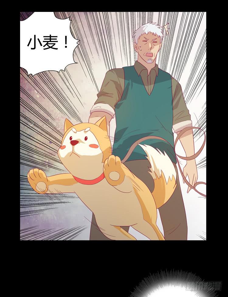 我与秋田韩漫全集-打回原形无删减无遮挡章节图片 