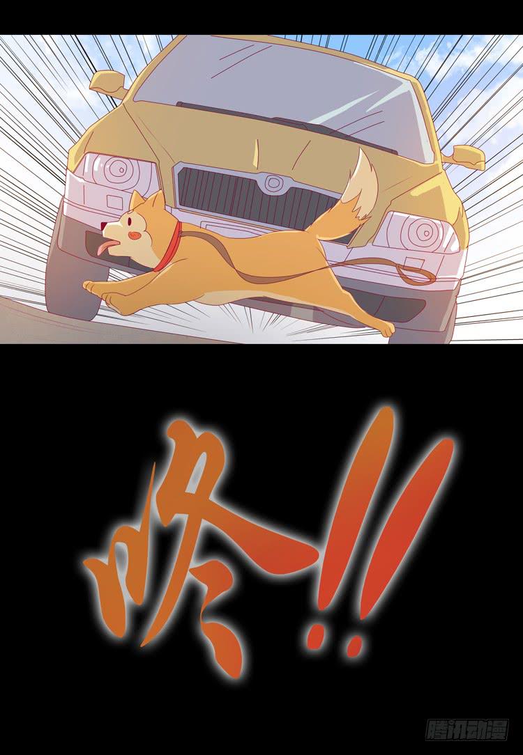 我与秋田韩漫全集-打回原形无删减无遮挡章节图片 