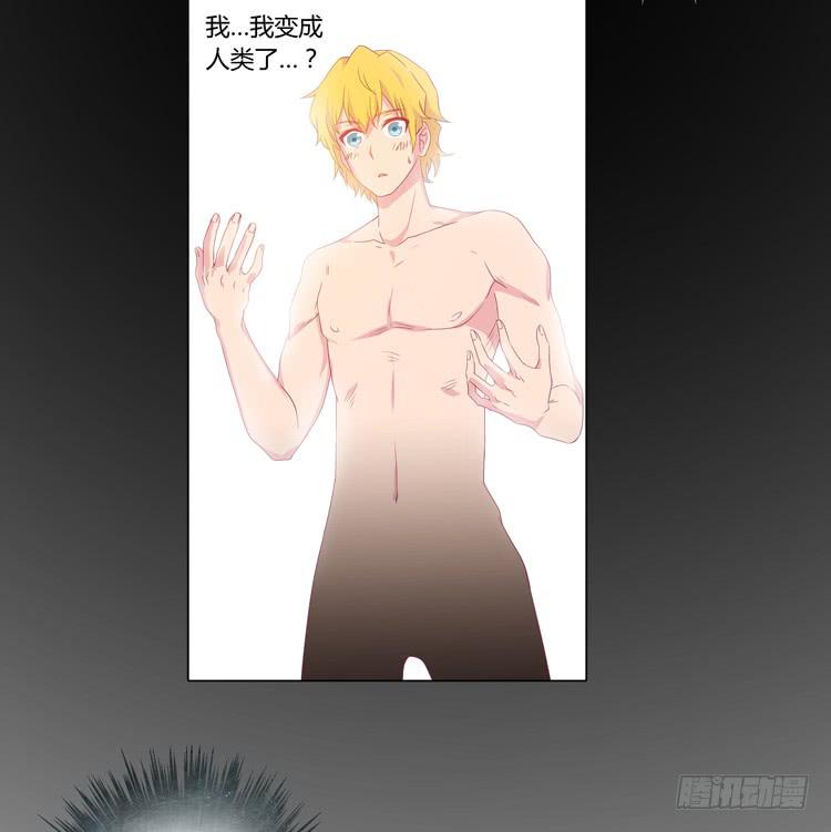 我与秋田韩漫全集-打回原形无删减无遮挡章节图片 