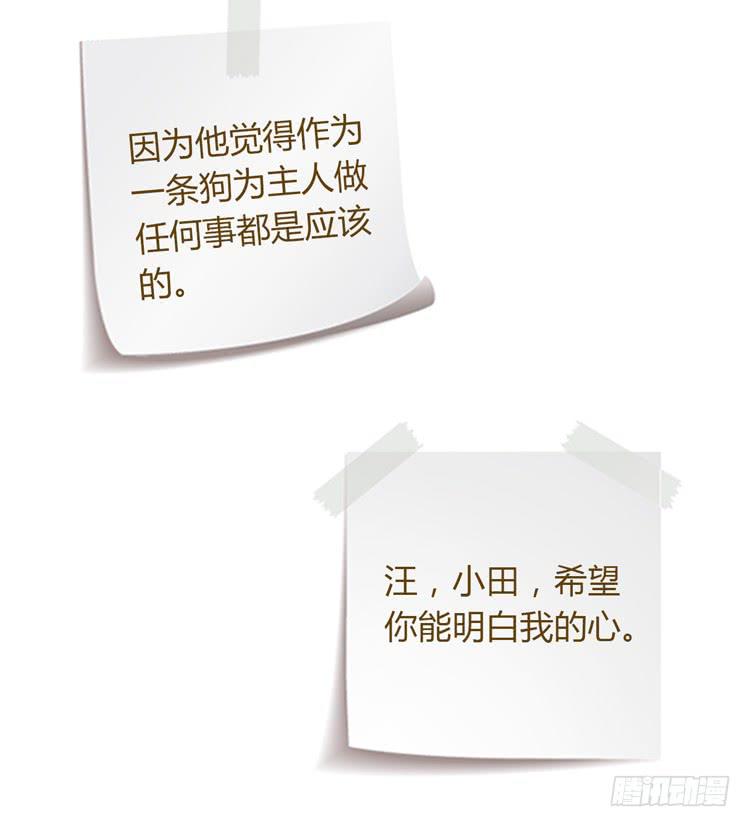 我与秋田韩漫全集-一条狗的使命无删减无遮挡章节图片 