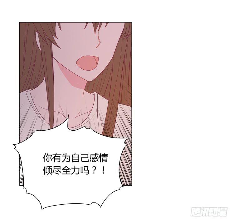 我与秋田韩漫全集-紫色雏菊的花语无删减无遮挡章节图片 