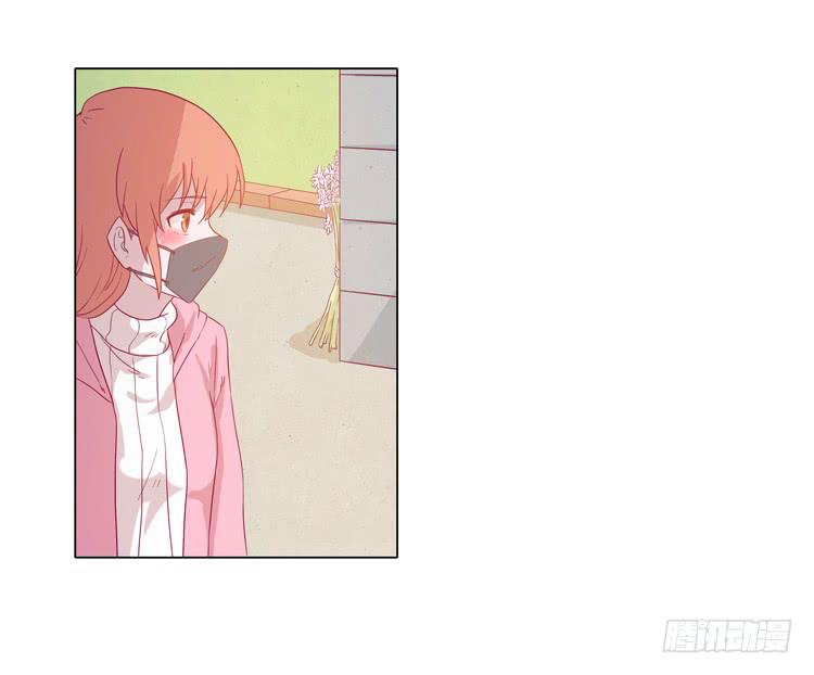 我与秋田韩漫全集-紫色雏菊的花语无删减无遮挡章节图片 