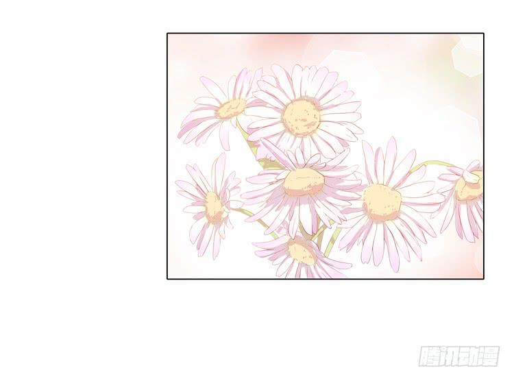 我与秋田韩漫全集-紫色雏菊的花语无删减无遮挡章节图片 