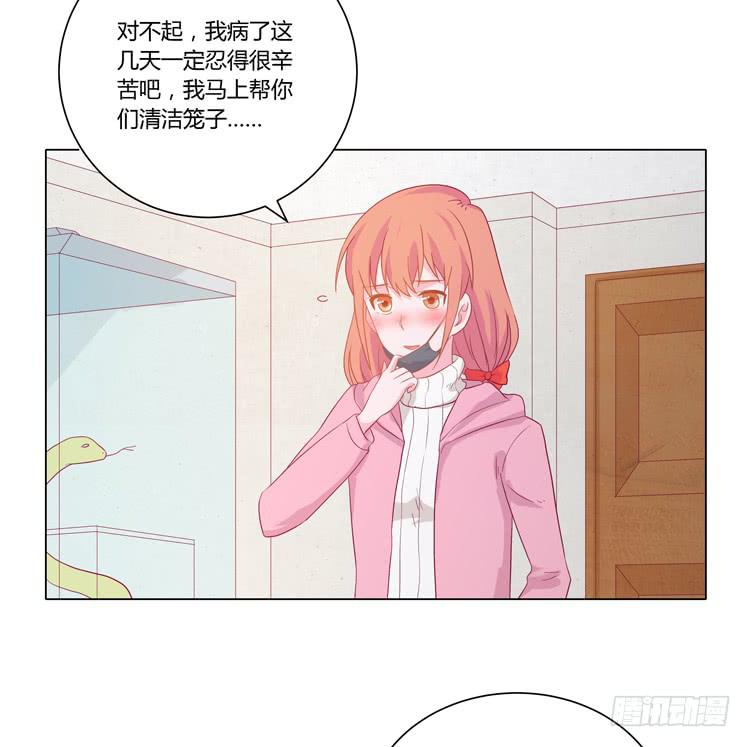 我与秋田韩漫全集-紫色雏菊的花语无删减无遮挡章节图片 