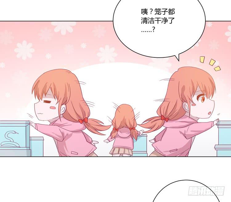 我与秋田韩漫全集-紫色雏菊的花语无删减无遮挡章节图片 