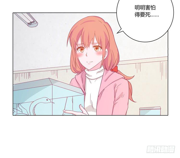 我与秋田韩漫全集-紫色雏菊的花语无删减无遮挡章节图片 