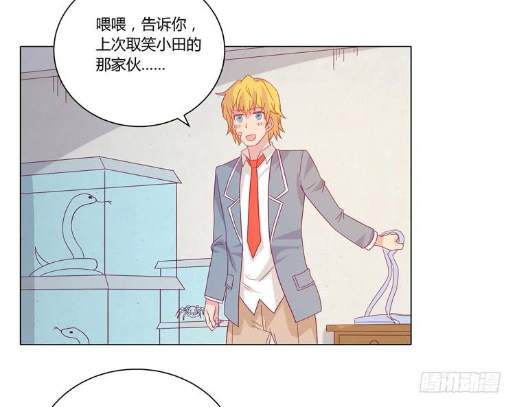 我与秋田韩漫全集-紫色雏菊的花语无删减无遮挡章节图片 
