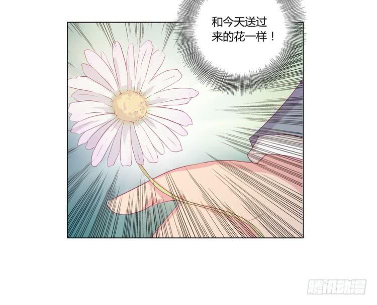 我与秋田韩漫全集-紫色雏菊的花语无删减无遮挡章节图片 