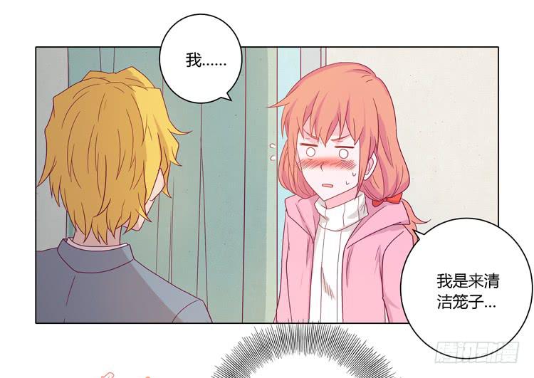 我与秋田韩漫全集-紫色雏菊的花语无删减无遮挡章节图片 