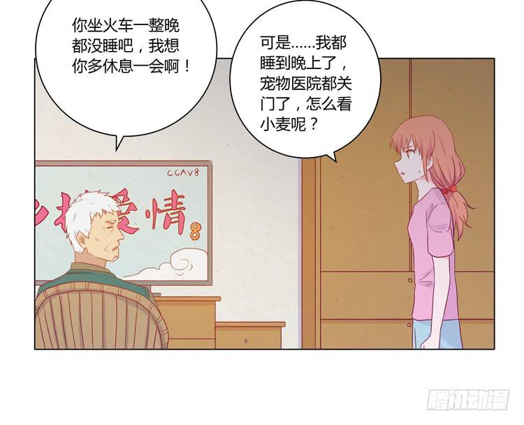 我与秋田韩漫全集-爷爷，我要见小麦！无删减无遮挡章节图片 