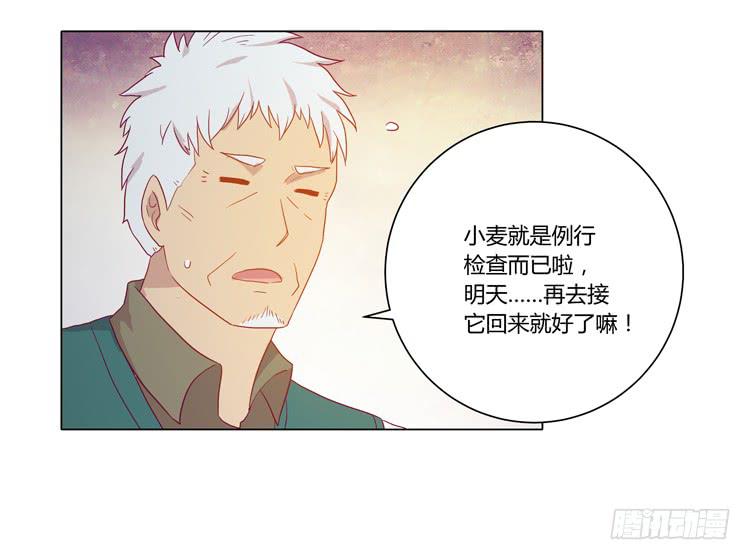 我与秋田韩漫全集-爷爷，我要见小麦！无删减无遮挡章节图片 