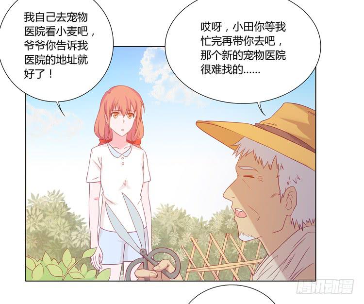 我与秋田韩漫全集-爷爷，我要见小麦！无删减无遮挡章节图片 