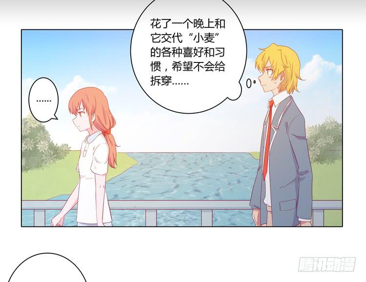 我与秋田韩漫全集-我要带小麦回城里！无删减无遮挡章节图片 