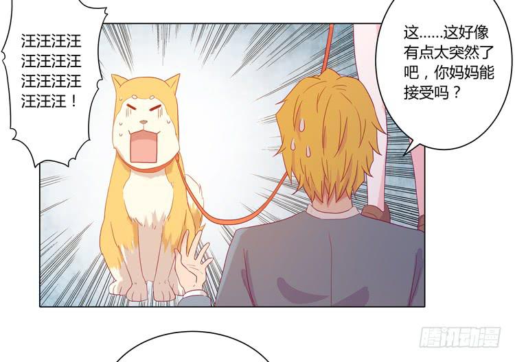 我与秋田韩漫全集-我要带小麦回城里！无删减无遮挡章节图片 