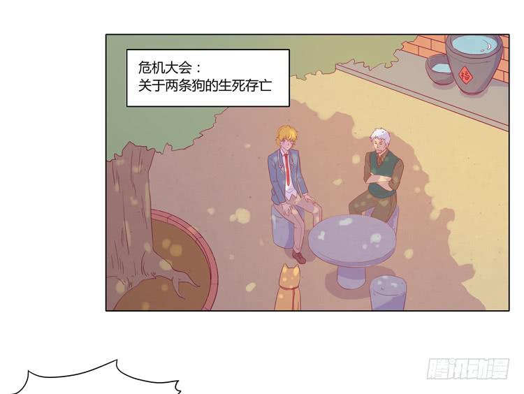 我与秋田韩漫全集-我要带小麦回城里！无删减无遮挡章节图片 