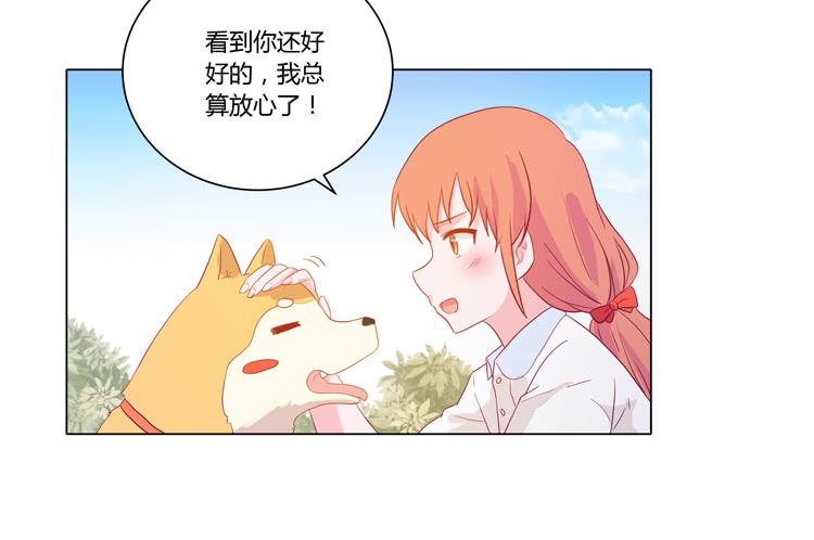 我与秋田韩漫全集-我要带小麦回城里！无删减无遮挡章节图片 