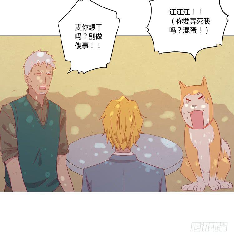 我与秋田韩漫全集-我要带小麦回城里！无删减无遮挡章节图片 