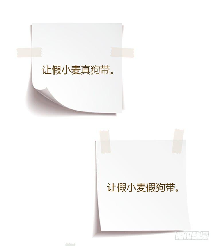 我与秋田韩漫全集-我要带小麦回城里！无删减无遮挡章节图片 
