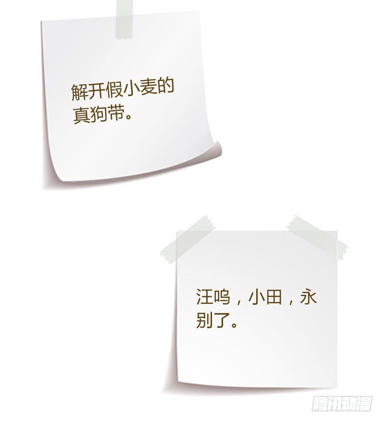我与秋田韩漫全集-我要带小麦回城里！无删减无遮挡章节图片 