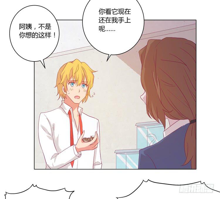 我与秋田韩漫全集-你还有没有廉耻？！无删减无遮挡章节图片 