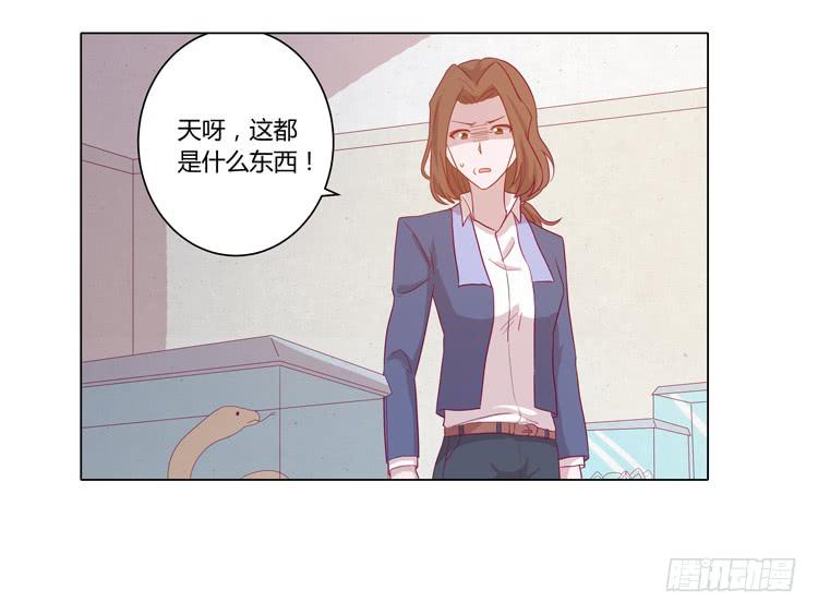 我与秋田韩漫全集-你还有没有廉耻？！无删减无遮挡章节图片 