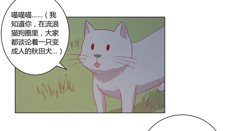 我与秋田韩漫全集-你是怎样变成人的？！无删减无遮挡章节图片 