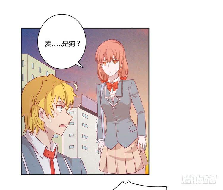 我与秋田韩漫全集-去死吧！傻狗！无删减无遮挡章节图片 