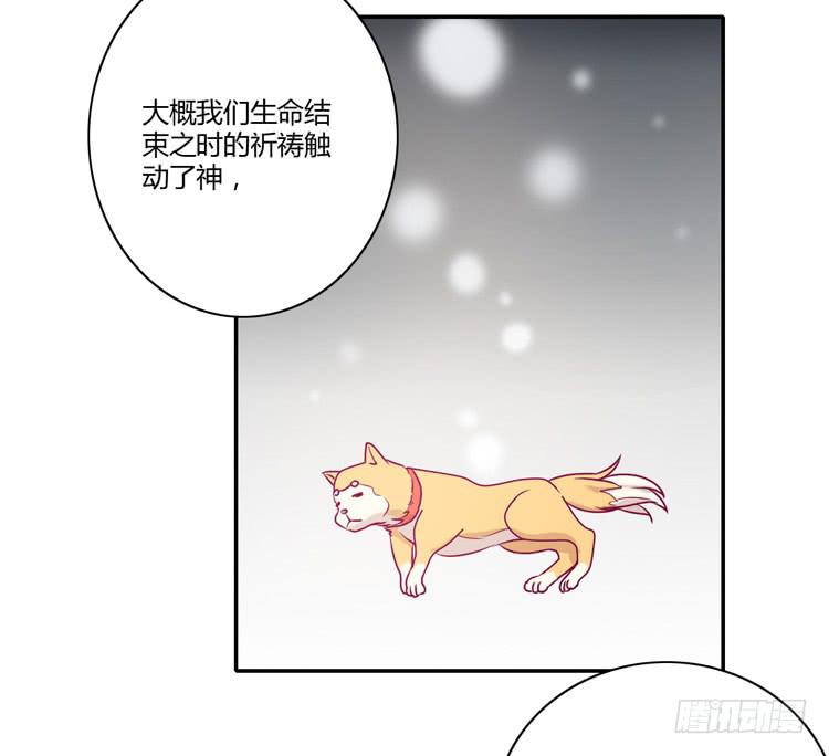 我与秋田韩漫全集-辰风，你要守护好小田！无删减无遮挡章节图片 