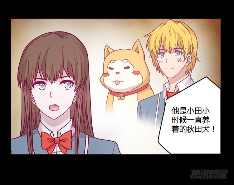我与秋田韩漫全集-辰风，你要守护好小田！无删减无遮挡章节图片 