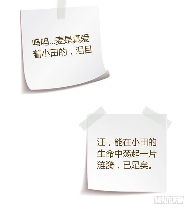 我与秋田韩漫全集-辰风，你要守护好小田！无删减无遮挡章节图片 