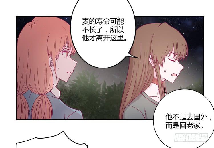 我与秋田韩漫全集-是我太懦弱了无删减无遮挡章节图片 