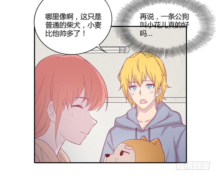 我与秋田韩漫全集-风雨无阻的恋爱无删减无遮挡章节图片 