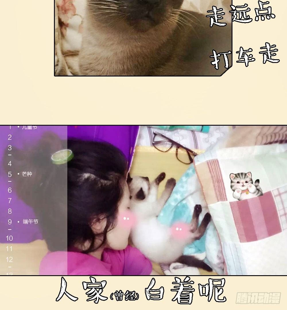 我真的不是女神韩漫全集-第36话：神？无删减无遮挡章节图片 