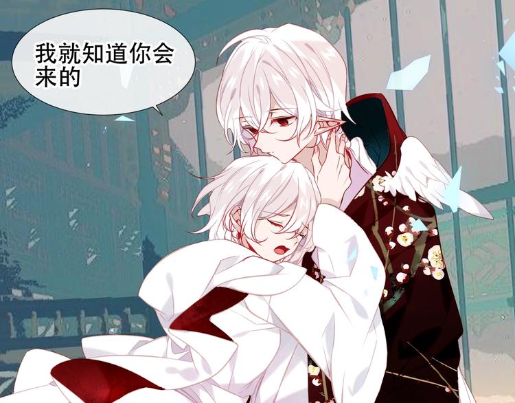 吾凰在上韩漫全集-第113话  赤离的真心无删减无遮挡章节图片 