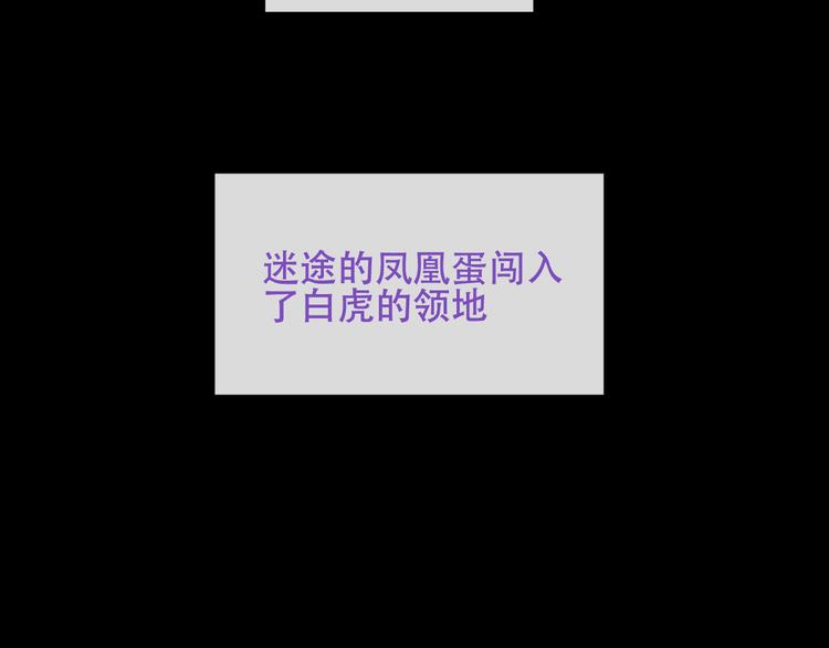 吾凰在上韩漫全集-第125话  第一次的禁忌无删减无遮挡章节图片 