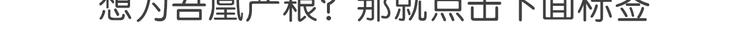 吾凰在上韩漫全集-第133话  遗忘与开始无删减无遮挡章节图片 