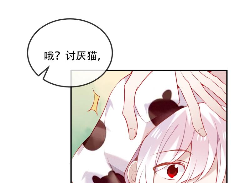 吾凰在上韩漫全集-第69话  龙渊国二皇子无删减无遮挡章节图片 