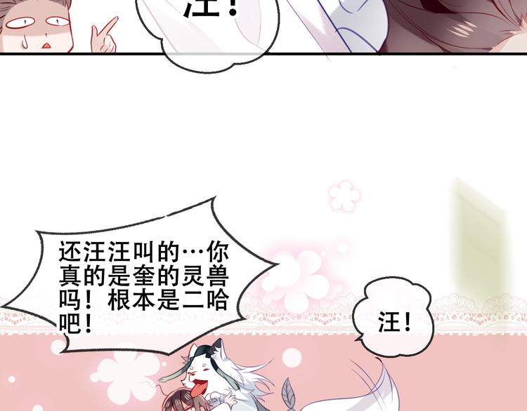 吾凰在上韩漫全集-第81话  太子也有应援团？！无删减无遮挡章节图片 