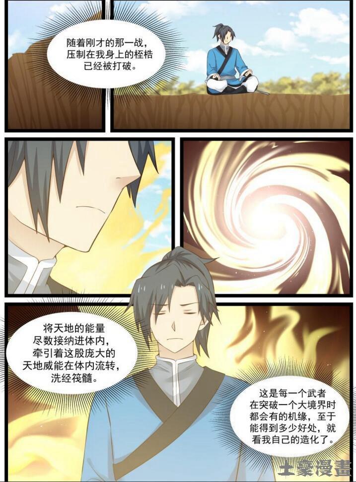 武炼巅峰韩漫全集-开元境无删减无遮挡章节图片 