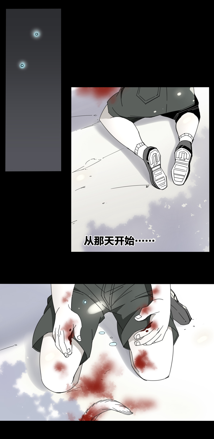 夏家灵异录韩漫全集-104猫①无删减无遮挡章节图片 