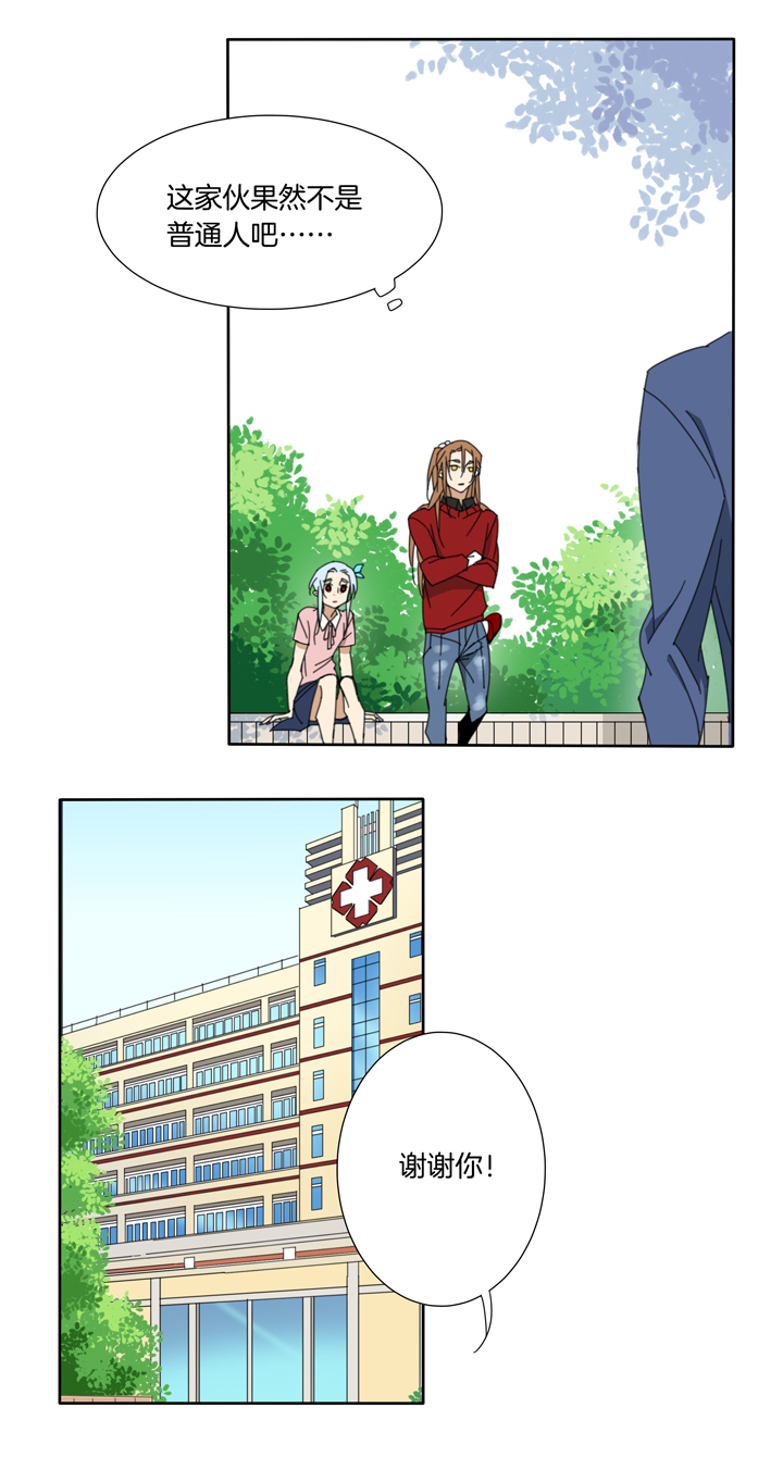 夏家灵异录韩漫全集-106猫③无删减无遮挡章节图片 